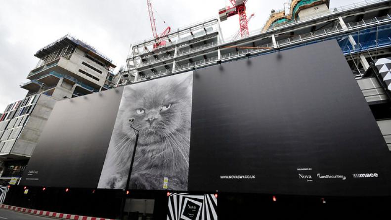 construction hoarding